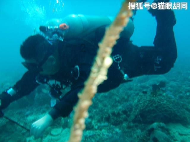 年轻时显老,过了四十却颜值开挂,这6位骨相美人赢在人生下半场