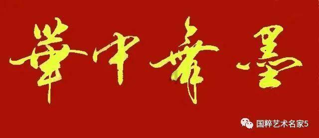 救援受困的小野猫