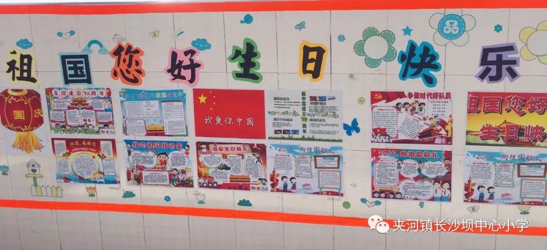 可爱猫咪救援